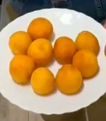 Certamen Gastronómico Alcotcon